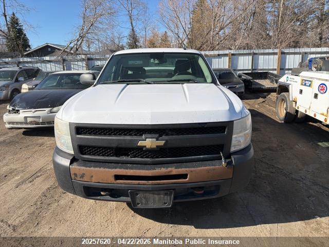 2011 Chevrolet Silverado 1500 Wt Ext Cab მანქანა იყიდება აუქციონზე, vin: 1GCRKPEA4BZ302899, აუქციონის ნომერი: 20257620