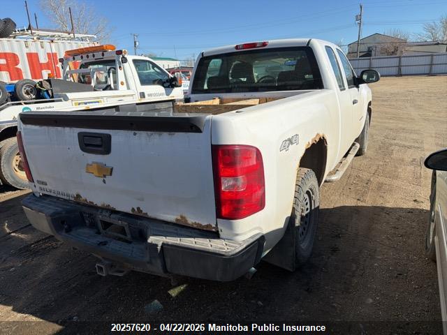 2011 Chevrolet Silverado 1500 Wt Ext Cab მანქანა იყიდება აუქციონზე, vin: 1GCRKPEA4BZ302899, აუქციონის ნომერი: 20257620