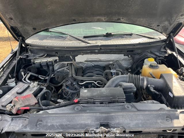 2014 Ford F150 Xlt Supercrew მანქანა იყიდება აუქციონზე, vin: 1FTFW1EF6EFB89785, აუქციონის ნომერი: 20257624