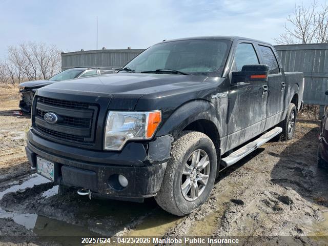 2014 Ford F150 Xlt Supercrew მანქანა იყიდება აუქციონზე, vin: 1FTFW1EF6EFB89785, აუქციონის ნომერი: 20257624