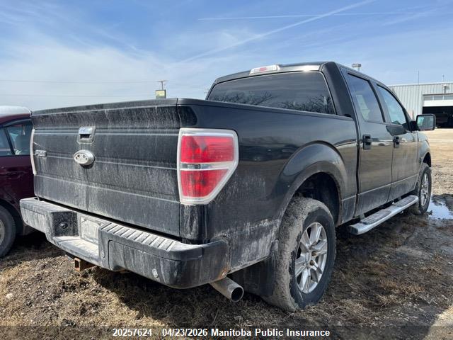 2014 Ford F150 Xlt Supercrew მანქანა იყიდება აუქციონზე, vin: 1FTFW1EF6EFB89785, აუქციონის ნომერი: 20257624