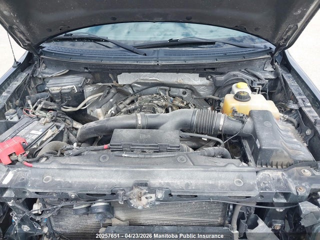 2014 Ford F150 Fx4 Supercrew მანქანა იყიდება აუქციონზე, vin: 1FTFW1ET0EKD22232, აუქციონის ნომერი: 20257651