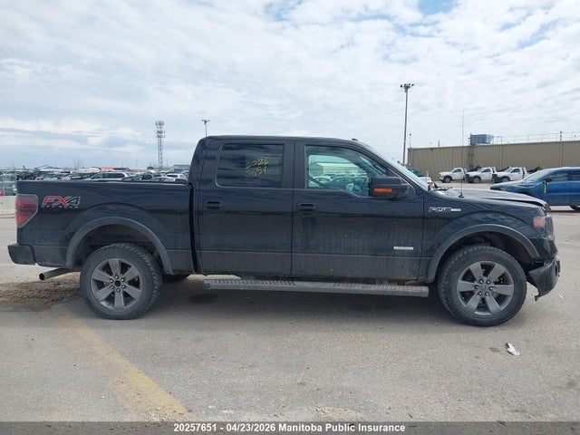 2014 Ford F150 Fx4 Supercrew მანქანა იყიდება აუქციონზე, vin: 1FTFW1ET0EKD22232, აუქციონის ნომერი: 20257651
