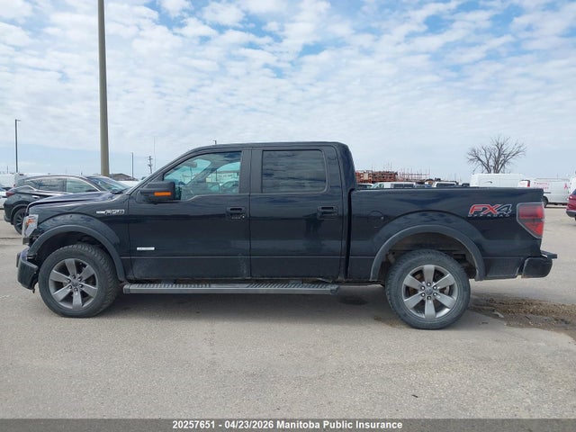 2014 Ford F150 Fx4 Supercrew მანქანა იყიდება აუქციონზე, vin: 1FTFW1ET0EKD22232, აუქციონის ნომერი: 20257651
