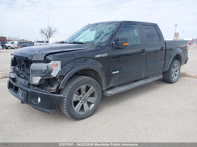 2014 Ford F150 Fx4 Supercrew მანქანა იყიდება აუქციონზე, vin: 1FTFW1ET0EKD22232, აუქციონის ნომერი: 20257651