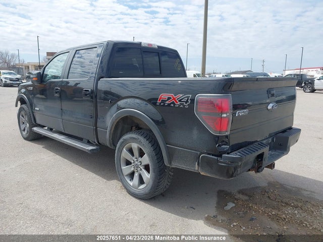 2014 Ford F150 Fx4 Supercrew მანქანა იყიდება აუქციონზე, vin: 1FTFW1ET0EKD22232, აუქციონის ნომერი: 20257651