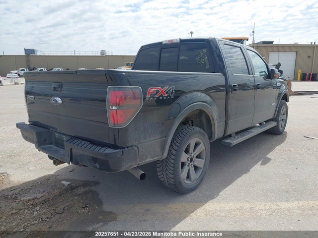 2014 Ford F150 Fx4 Supercrew მანქანა იყიდება აუქციონზე, vin: 1FTFW1ET0EKD22232, აუქციონის ნომერი: 20257651