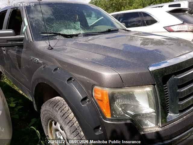 Aukcja sprzedaży 2010 Ford F150 Xlt Supercrew, vin: 1FTEW1E80AFA05125, numer aukcji: 20257672