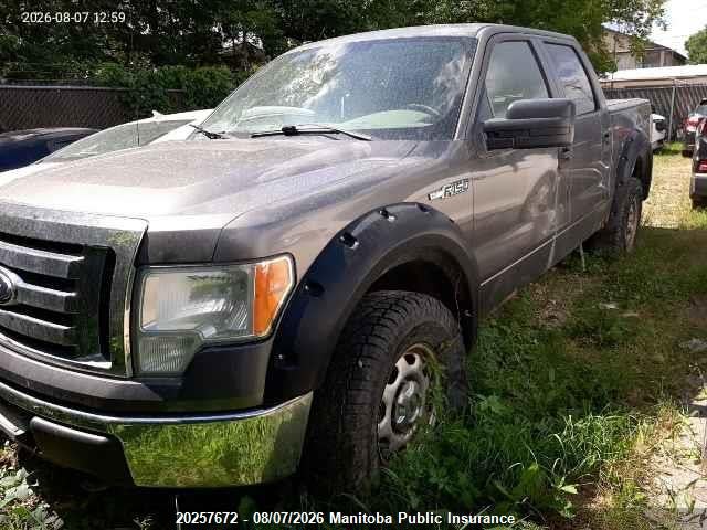 Aukcja sprzedaży 2010 Ford F150 Xlt Supercrew, vin: 1FTEW1E80AFA05125, numer aukcji: 20257672