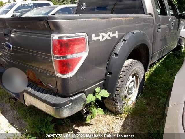 Aukcja sprzedaży 2010 Ford F150 Xlt Supercrew, vin: 1FTEW1E80AFA05125, numer aukcji: 20257672