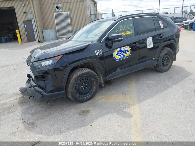 2023 Toyota Rav4 Le Hybrid მანქანა იყიდება აუქციონზე, vin: 2T3BWRFV4PW164243, აუქციონის ნომერი: 20257828