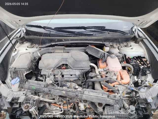 2024 Hyundai Tucson Luxury Hybrid მანქანა იყიდება აუქციონზე, vin: KM8JCCD12RU202159, აუქციონის ნომერი: 20257905