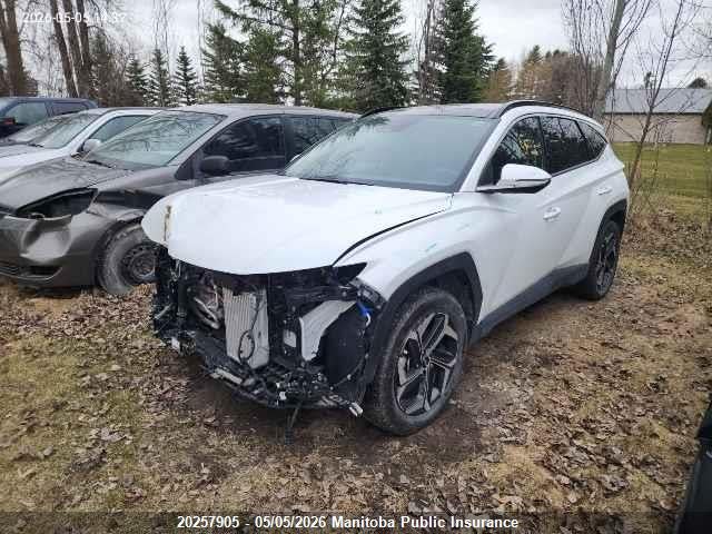 2024 Hyundai Tucson Luxury Hybrid მანქანა იყიდება აუქციონზე, vin: KM8JCCD12RU202159, აუქციონის ნომერი: 20257905