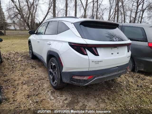 2024 Hyundai Tucson Luxury Hybrid მანქანა იყიდება აუქციონზე, vin: KM8JCCD12RU202159, აუქციონის ნომერი: 20257905