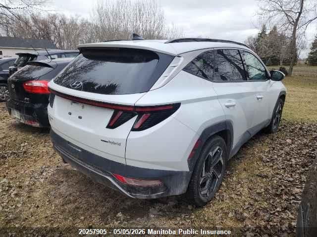 2024 Hyundai Tucson Luxury Hybrid მანქანა იყიდება აუქციონზე, vin: KM8JCCD12RU202159, აუქციონის ნომერი: 20257905
