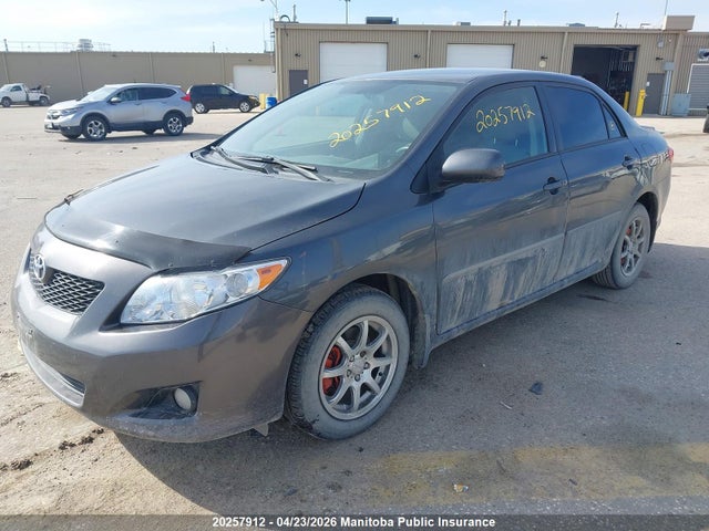 2009 Toyota Corolla მანქანა იყიდება აუქციონზე, vin: 2T1BU40E09C062615, აუქციონის ნომერი: 20257912