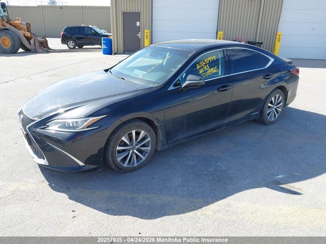58AB21B15LU005825 Lexus ES 300H