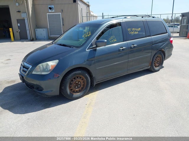 Продаж на аукціоні авто 2005 Honda Odyssey Ex, vin: 5FNRL38495B505809, номер лоту: 20257986