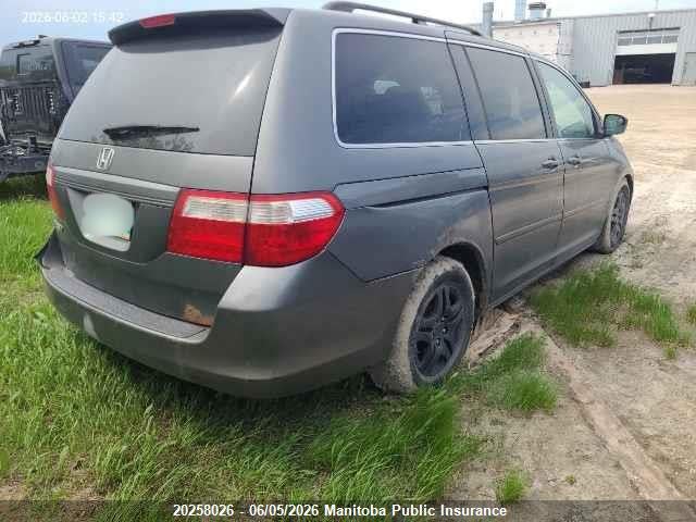 20258026 :رقم المزاد ، 5FNRL38797B506973 vin ، 2007 Honda Odyssey Ex-l Ex-l مزاد بيع