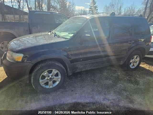 2007 Ford Escape Xlt V6 მანქანა იყიდება აუქციონზე, vin: 1FMYU93147KA00495, აუქციონის ნომერი: 20258100