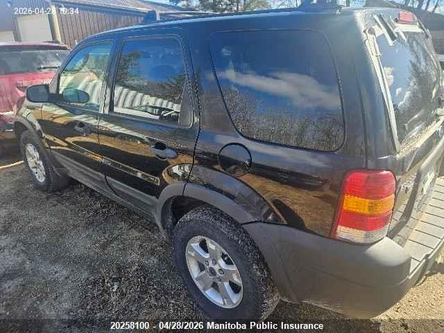 2007 Ford Escape Xlt V6 მანქანა იყიდება აუქციონზე, vin: 1FMYU93147KA00495, აუქციონის ნომერი: 20258100