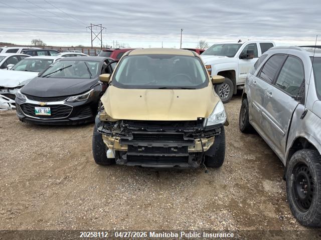 1FMCU0GX4EUB88053 Ford ESCAPE SE
