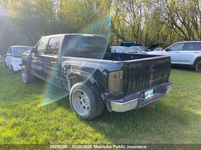 Продаж на аукціоні авто 2009 Chevrolet Silverado 1500 Lt Crew Cab, vin: 3GCEK13309G249516, номер лоту: 20258288