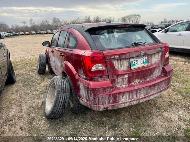 20258329 :رقم المزاد ، 1B3HB48A69D183493 vin ، 2009 Dodge Caliber Sxt مزاد بيع