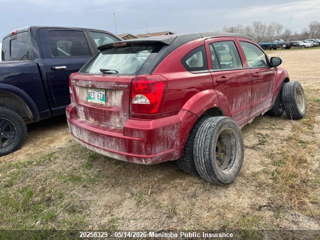 20258329 :رقم المزاد ، 1B3HB48A69D183493 vin ، 2009 Dodge Caliber Sxt مزاد بيع