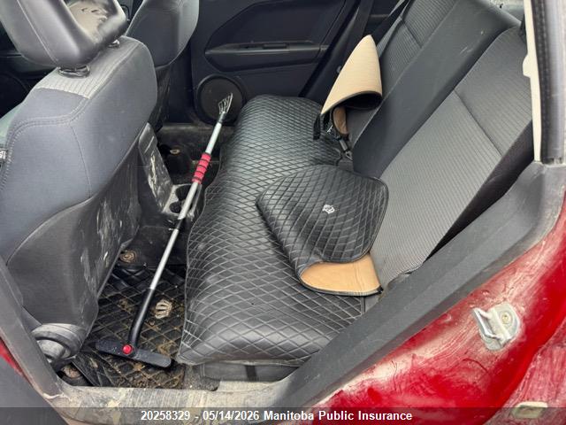 20258329 :رقم المزاد ، 1B3HB48A69D183493 vin ، 2009 Dodge Caliber Sxt مزاد بيع