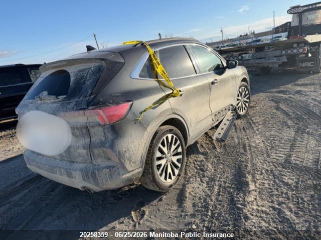 Продаж на аукціоні авто 2020 Ford Escape Titanium Hybrid Titanium Hybrid, vin: 1FMCU9DZ8LUA86567, номер лоту: 20258359