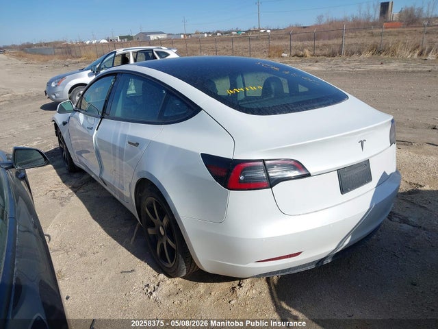 2021 Tesla Model 3 Standard Range Plus 50 მანქანა იყიდება აუქციონზე, vin: 5YJ3E1EA3MF989280, აუქციონის ნომერი: 20258375