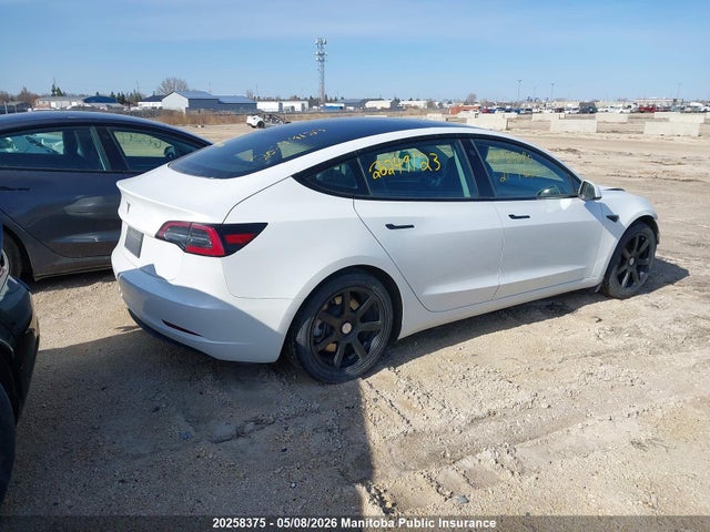 2021 Tesla Model 3 Standard Range Plus 50 მანქანა იყიდება აუქციონზე, vin: 5YJ3E1EA3MF989280, აუქციონის ნომერი: 20258375