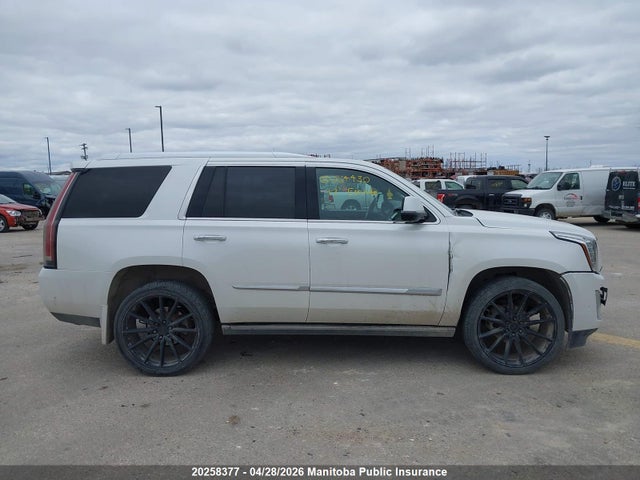 Продаж на аукціоні авто 2017 Cadillac Escalade Platinum 4wd, vin: 1GYS4DKJ0HR264430, номер лоту: 20258377