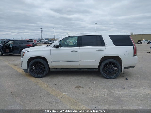 Продаж на аукціоні авто 2017 Cadillac Escalade Platinum 4wd, vin: 1GYS4DKJ0HR264430, номер лоту: 20258377