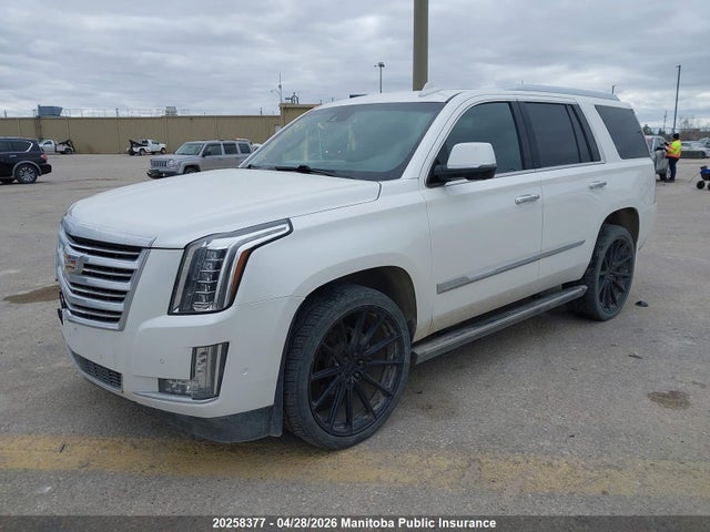 Продаж на аукціоні авто 2017 Cadillac Escalade Platinum 4wd, vin: 1GYS4DKJ0HR264430, номер лоту: 20258377