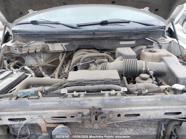 Продаж на аукціоні авто 2009 Ford F150 Xlt Supercrew, vin: 1FTRW14809FB04008, номер лоту: 20258547