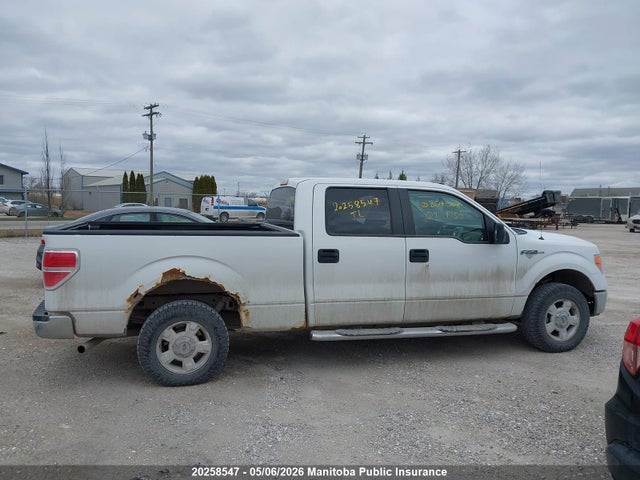 Продаж на аукціоні авто 2009 Ford F150 Xlt Supercrew, vin: 1FTRW14809FB04008, номер лоту: 20258547