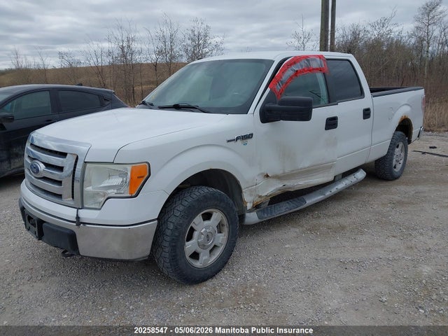 Продаж на аукціоні авто 2009 Ford F150 Xlt Supercrew, vin: 1FTRW14809FB04008, номер лоту: 20258547