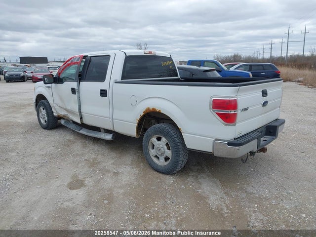Продаж на аукціоні авто 2009 Ford F150 Xlt Supercrew, vin: 1FTRW14809FB04008, номер лоту: 20258547