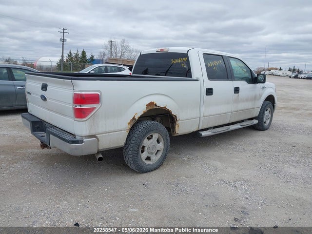 Продаж на аукціоні авто 2009 Ford F150 Xlt Supercrew, vin: 1FTRW14809FB04008, номер лоту: 20258547