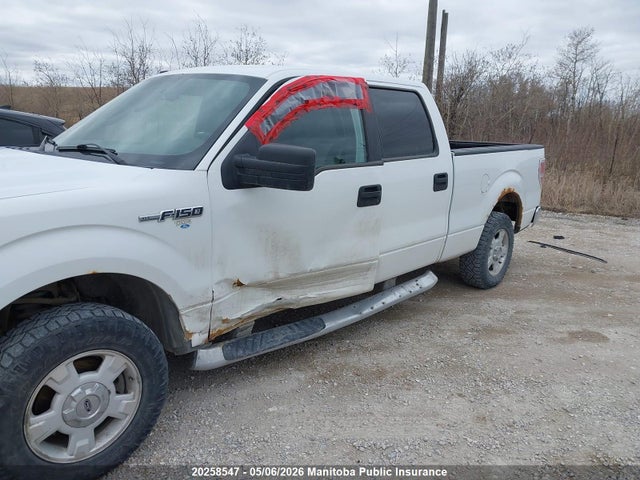 Продаж на аукціоні авто 2009 Ford F150 Xlt Supercrew, vin: 1FTRW14809FB04008, номер лоту: 20258547