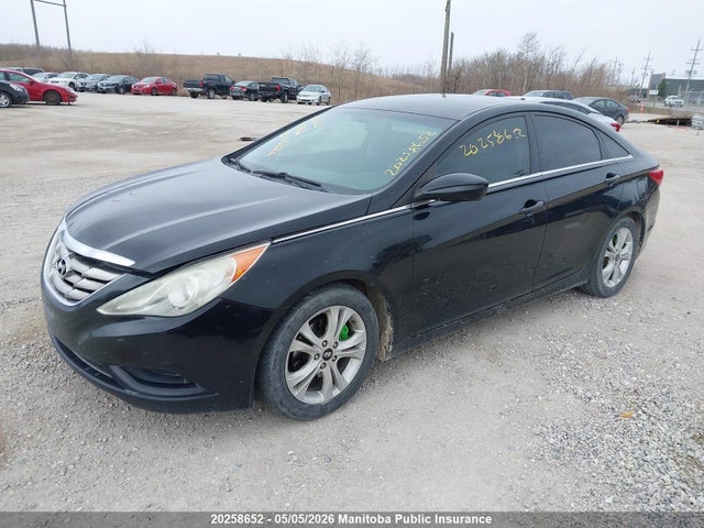 2011 Hyundai Sonata Gls მანქანა იყიდება აუქციონზე, vin: 5NPEB4AC9BH099536, აუქციონის ნომერი: 20258652