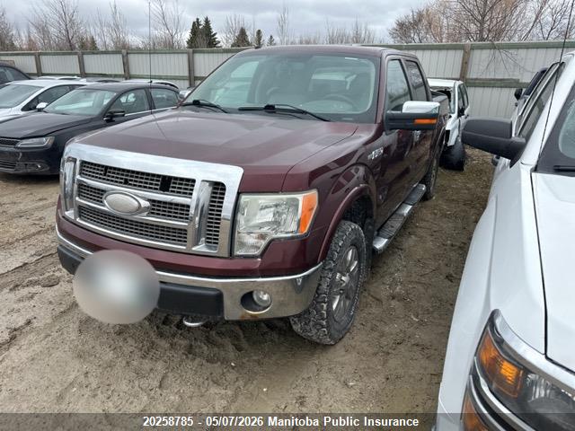 Aukcja sprzedaży 2009 Ford F-series, vin: 1FTPW14V89FA22332, numer aukcji: 20258785