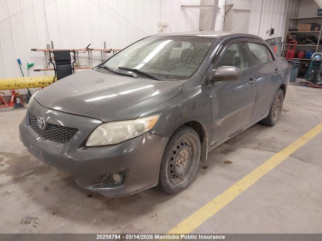 20258794 :رقم المزاد ، 2T1BU40EX9C032179 vin ، 2009 Toyota Corolla Le مزاد بيع