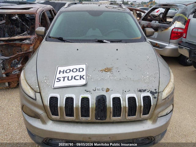 Продажа на аукционе авто 2014 Jeep Cherokee North, vin: 1C4PJMCBXEW304828, номер лота: 20258795