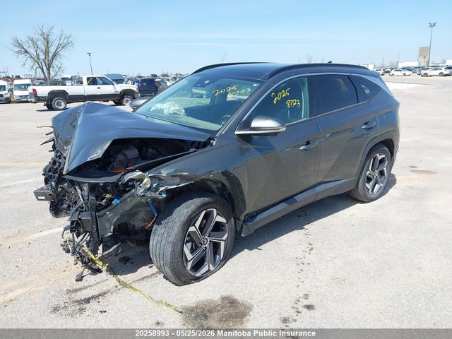 20258993 :رقم المزاد ، KM8JCCD15RU138134 vin ، 2024 Hyundai Tucson Ultimate Hybrid مزاد بيع