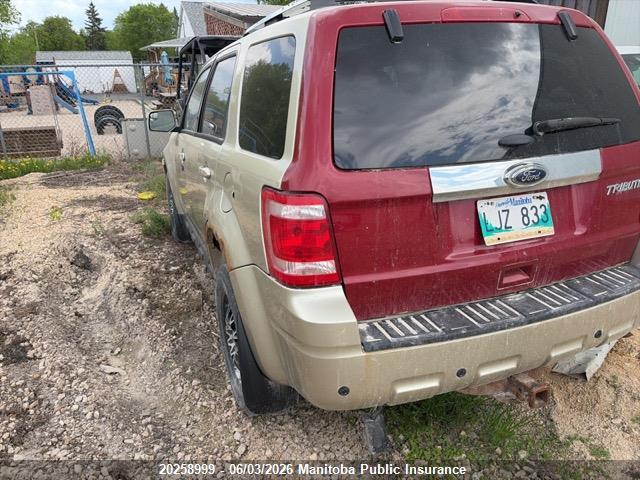 Auction sale of the 2011 Ford Escape Limited V6, vin: 1FMCU9EG1BKB41366, lot number: 20258999