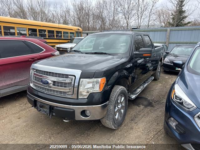 Продаж на аукціоні авто 2013 Ford F150 Xlt Supercrew, vin: 1FTFW1EF8DFB62456, номер лоту: 20259009