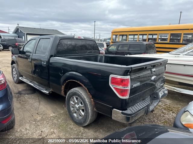 Продаж на аукціоні авто 2013 Ford F150 Xlt Supercrew, vin: 1FTFW1EF8DFB62456, номер лоту: 20259009